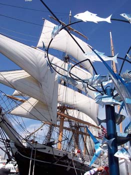 Star of India