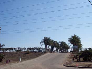 Miramar nurseries