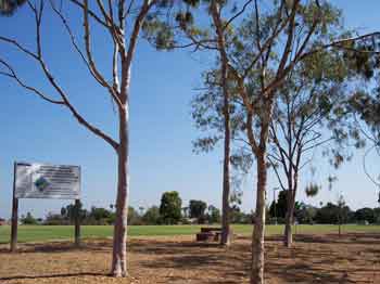 University Gardens park