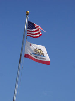 flags